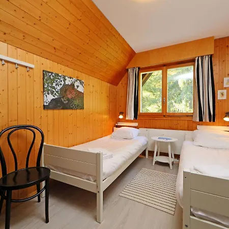 Anemone 2-16 By Interhome Apartment Arveyes