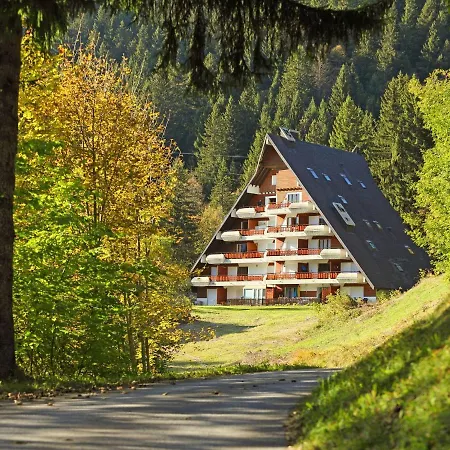 Anemone 2-16 By Interhome Daire